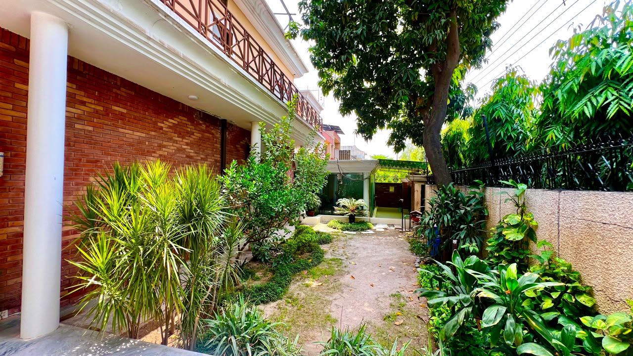 Garden